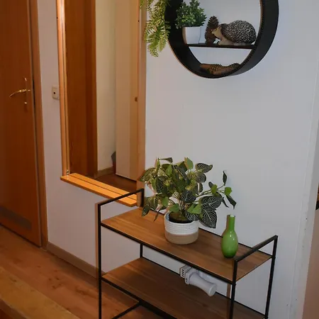 Vier Jahreszeiten Apartment Sankt Englmar
