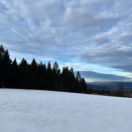 Apartment Vier Jahreszeiten Sankt Englmar